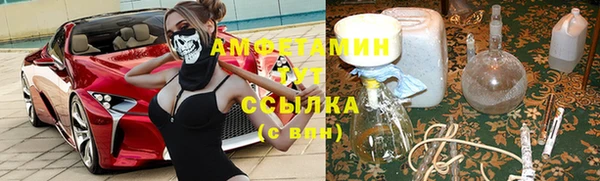 spice Богородицк