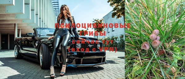 PSILOCYBIN Слюдянка