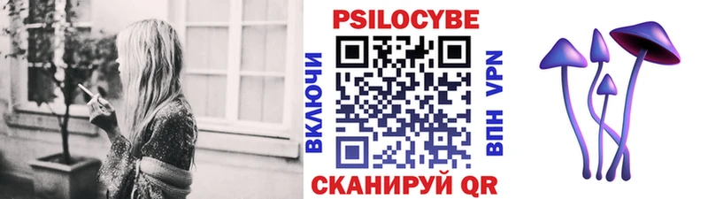 Галлюциногенные грибы Cubensis  купить наркоту  Конаково 